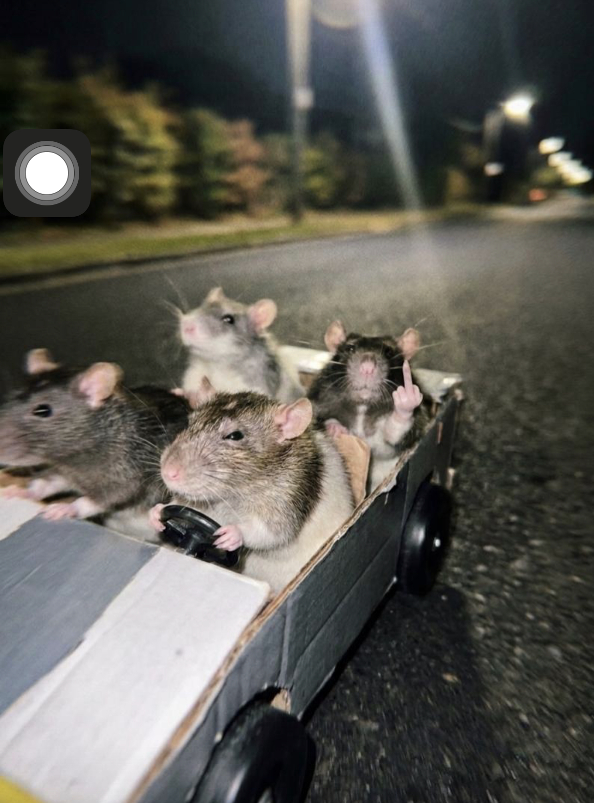 7EC5F13A-A1DF-438A-BD4A-7CFA7CB39038.jpeg