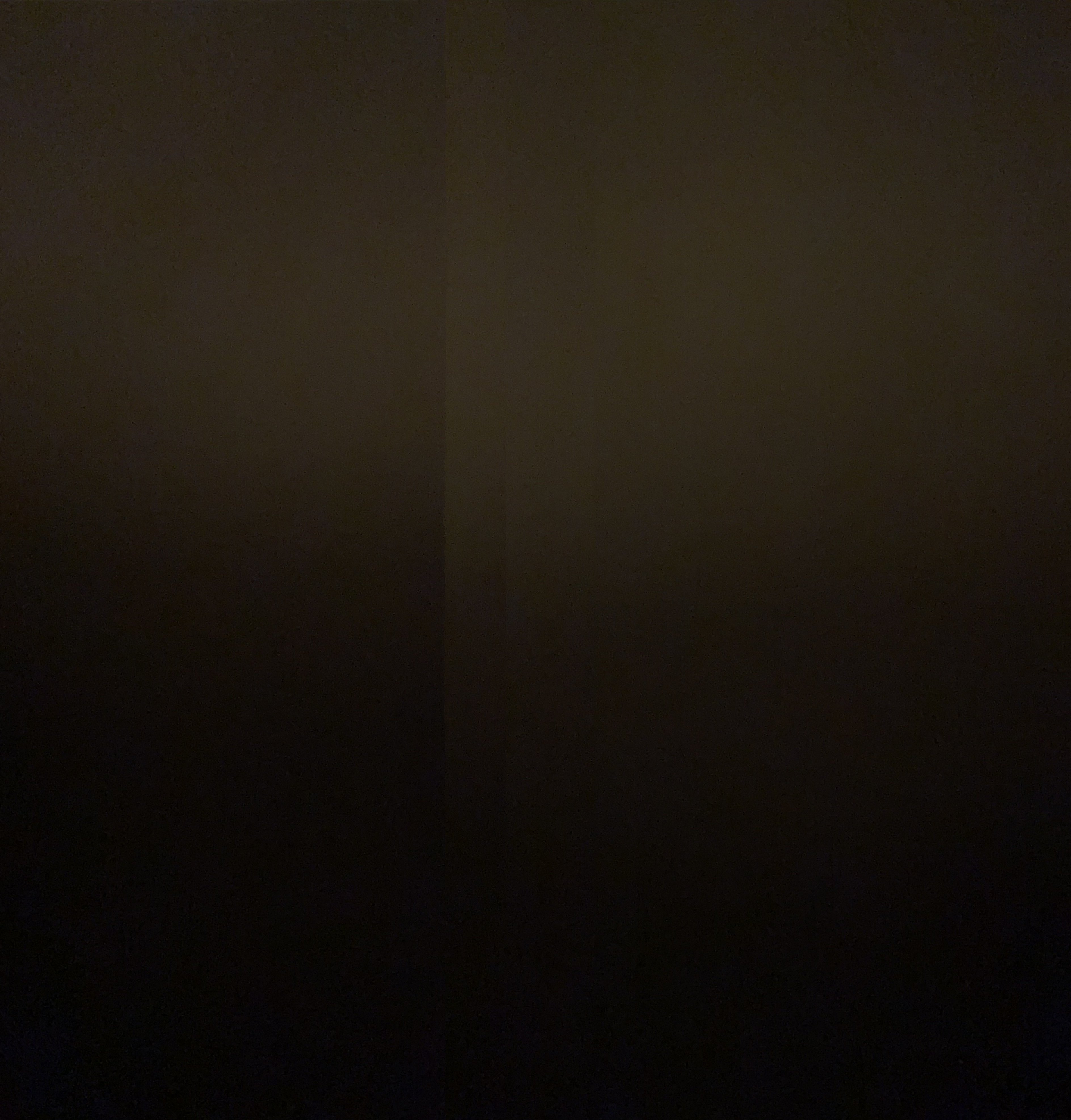 IMG_6404.jpeg
