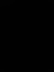 17574418572705024667268443465207.jpg