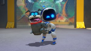 BibTPZQ.jpg