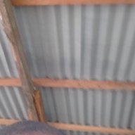 Player_1765563137_94