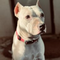 Player_1776655817_1048